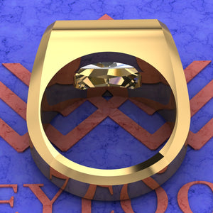 10.5 CT Elongated Radiant Cut Bazel Man's Moissanite Engagement Ring D Color